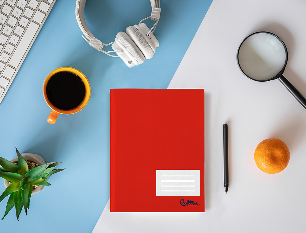 LIBRETA LIDERPAPEL SMART A5 PLUS 48 HOJAS 75G/M2 HORIZONTAL DOBLE MARGEN COLORESURTIDOS