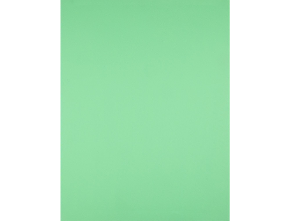 CARTULINA LIDERPAPEL 50X65 CM 240G/M2 VERDE PISTACHO