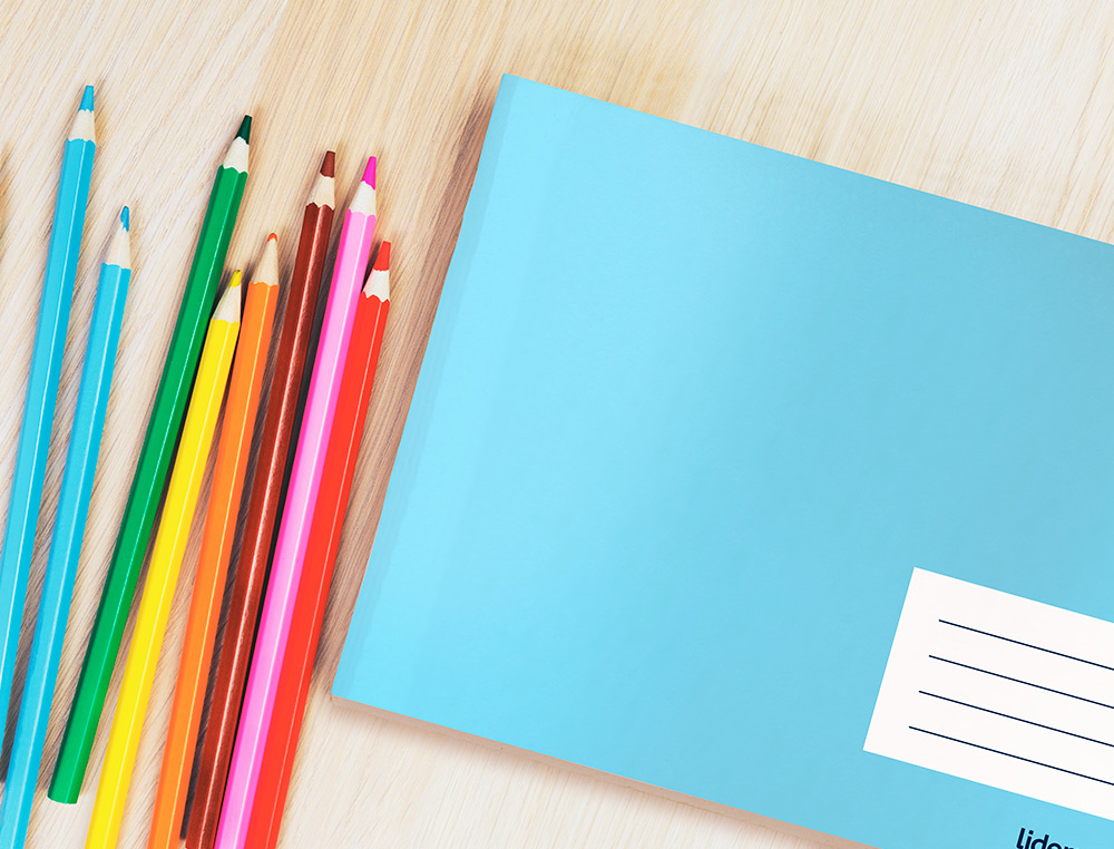 LIBRETA LIDERPAPEL SMART A5 APAISADA 32H 60G/M2 PAUTA 2,5 MM CON MARGEN
